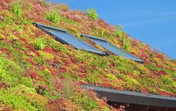 Rough Haugh living roof systems