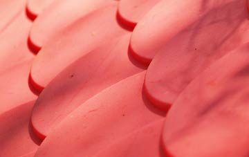 Rough Haugh plastic roof costs